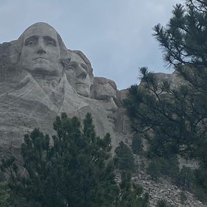 Meet your Posher, Jonah